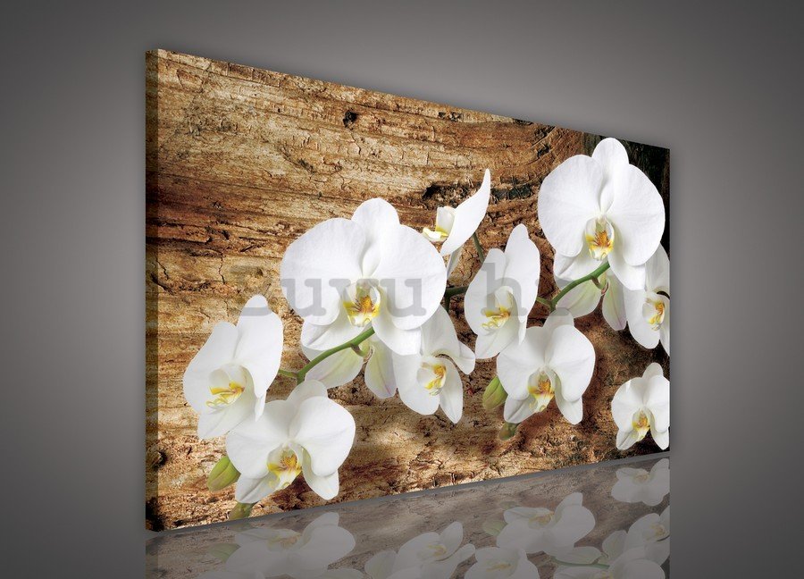 Slika na platnu: Orhideje na drvetu - 75x100 cm