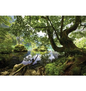Foto tapeta Vlies: Šumski bazen - 184x254 cm