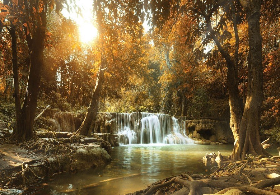 Foto tapeta Vlies: Vodopadi u šumi (1) - 254x368 cm
