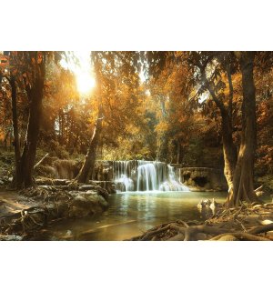 Foto tapeta Vlies: Vodopadi u šumi (1) - 254x368 cm