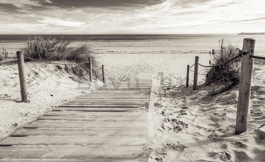Foto tapeta: Plaža (crno-bijela) - 104x152,5 cm
