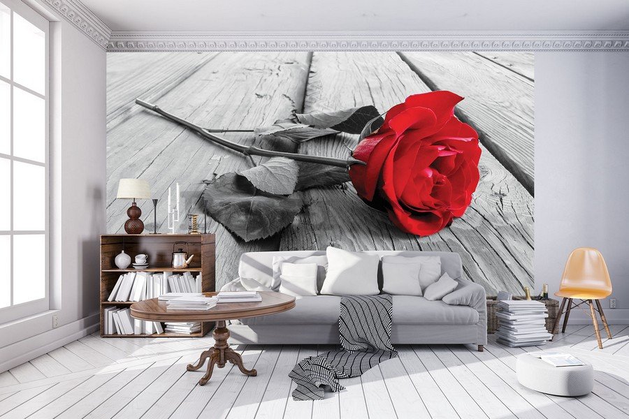 Foto tapeta: Crvena ruža - 104x152,5 cm
