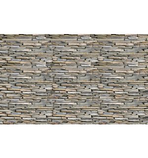 Foto tapeta Vlies: Kameni zid (1) - 254x368 cm