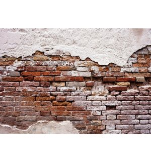 Foto tapeta: Stari zid od cigle - 184x254 cm