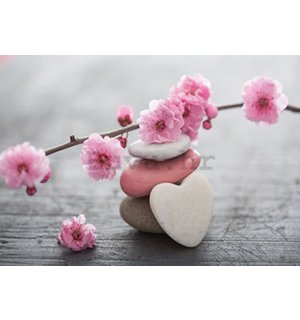 Foto tapeta: Trešnja u cvatu i srce - 184x254 cm