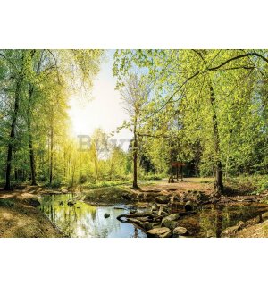 Slika na platnu: Šumski potok (3) - 75x100 cm