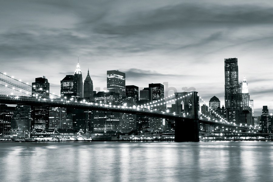 Slika na platnu: Crno-bijeli Brooklyn Bridge (4) - 75x100 cm