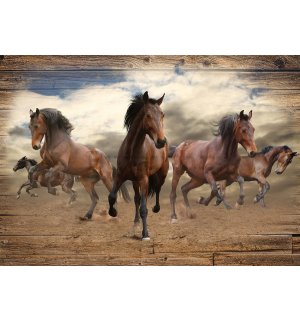 Foto tapeta Vlies: Konji (3) - 184x254 cm