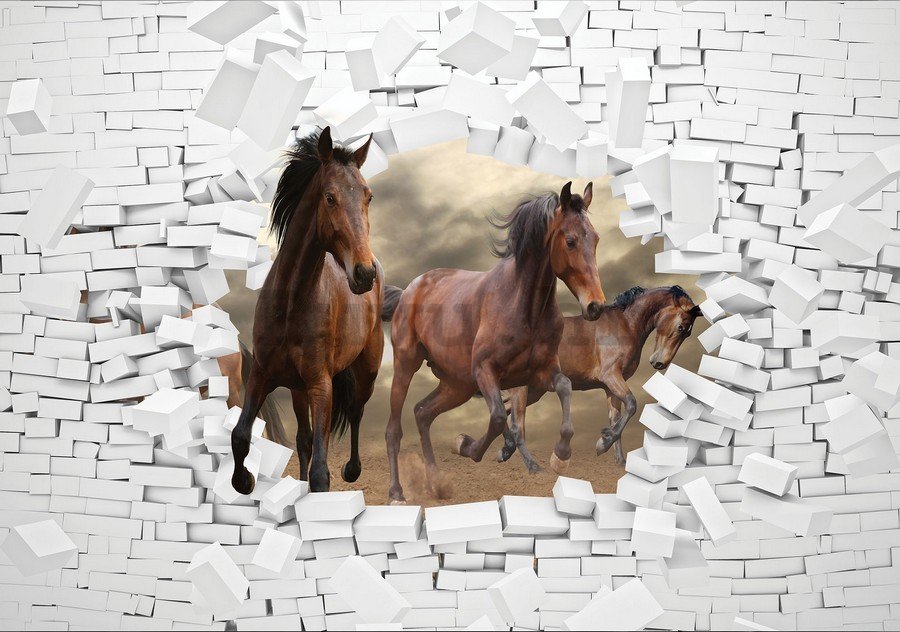 Foto tapeta Vlies: Konji u zidu - 184x254 cm