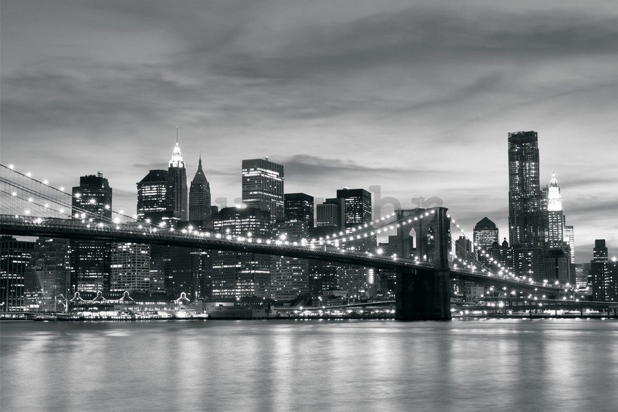 Foto tapeta Vlies: Brooklyn Bridge - 254x368 cm
