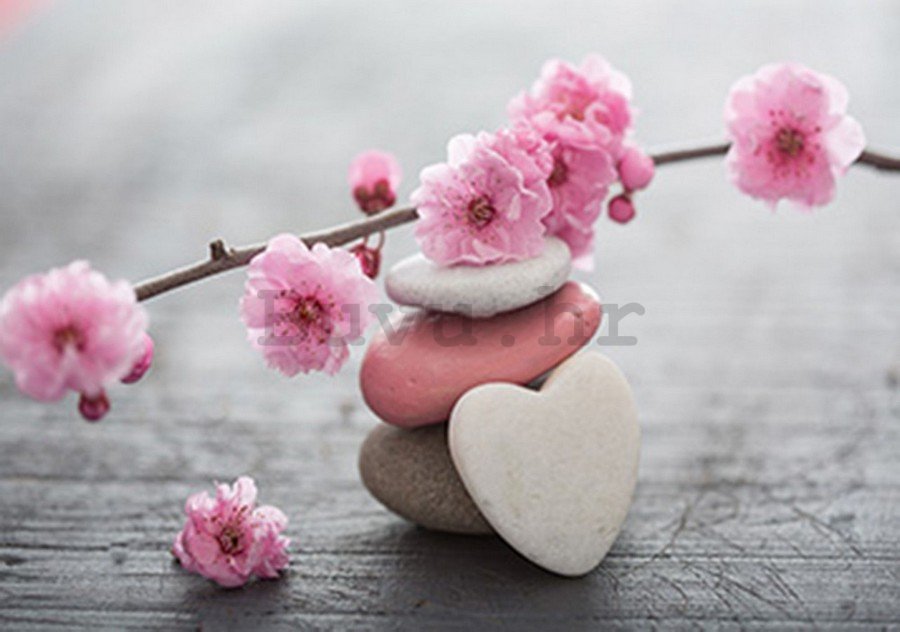 Foto tapeta Vlies: Trešnja u cvatu i srce - 254x368 cm