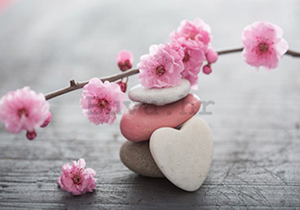Foto tapeta: Trešnja u cvatu i srce - 104x152,5 cm