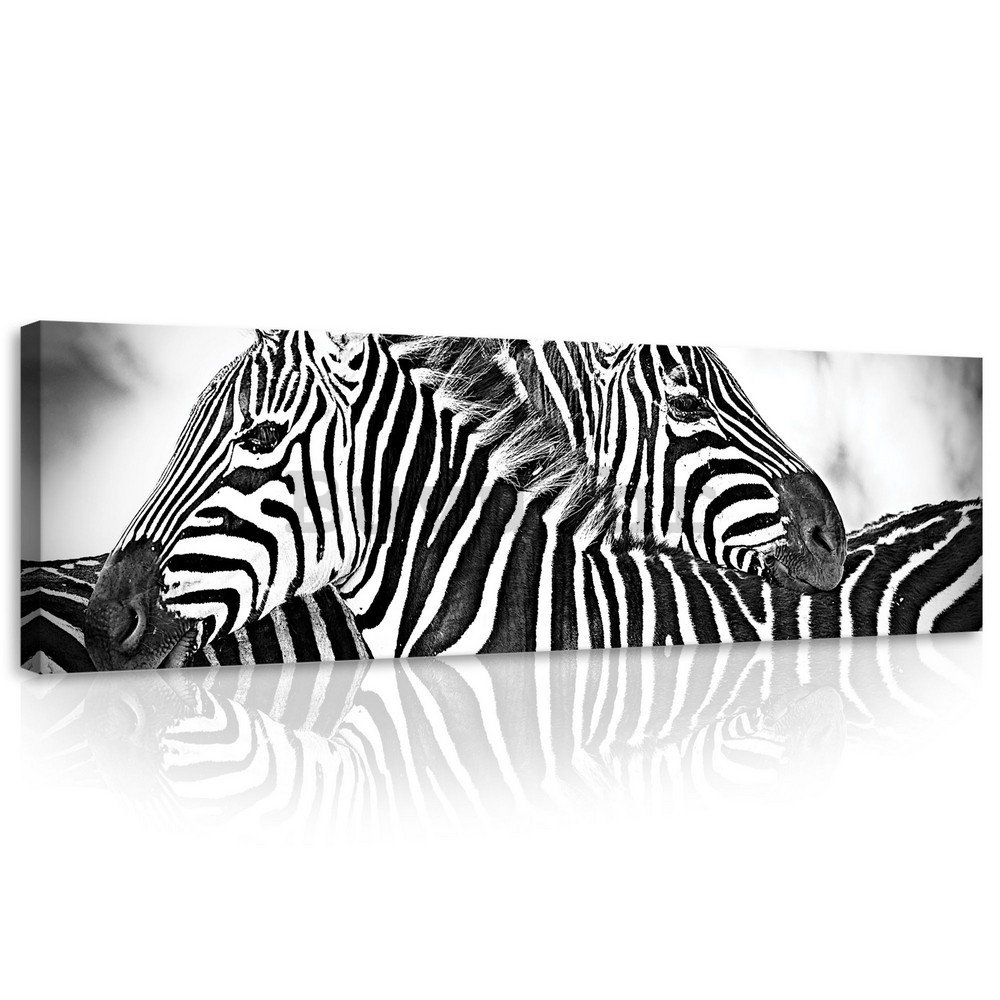 Slika na platnu: Zebra (1) - 145x45 cm