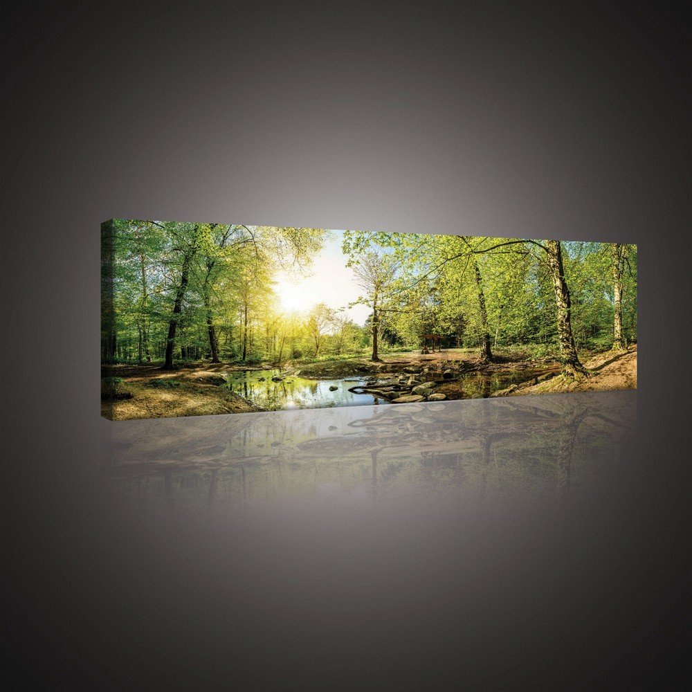 Slika na platnu: Šumski potok (3) - 145x45 cm
