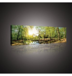Slika na platnu: Šumski potok (3) - 145x45 cm
