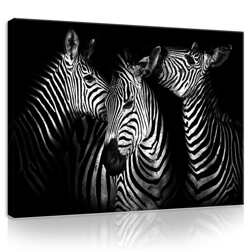 Slika na platnu: Zebry (4) - 75x100 cm