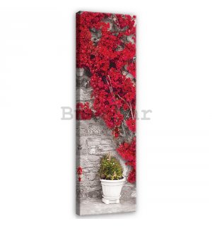 Slika na platnu: Crveni cvjetni zid - 145x45 cm