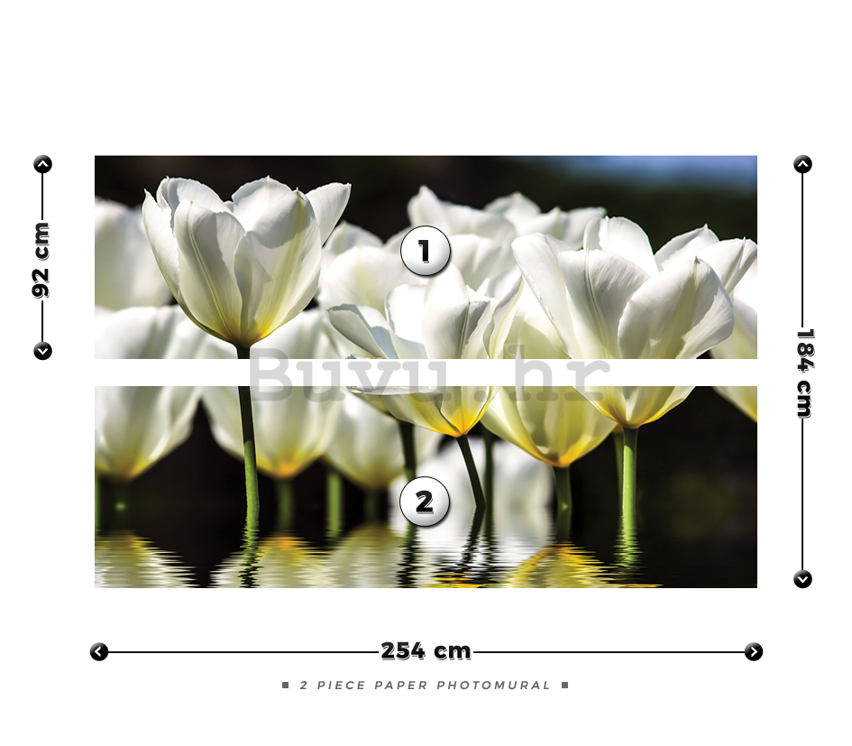 Foto tapeta: Bijeli tulipani (2) - 184x254 cm