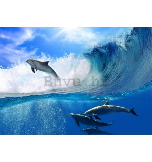 Foto tapeta: Delfini - 184x254 cm