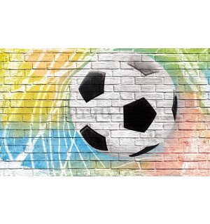Foto tapeta: Nogometna lopta (slikana) - 184x254 cm