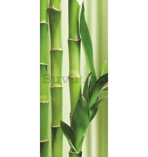 Foto tapeta: Bambus - 211x91 cm