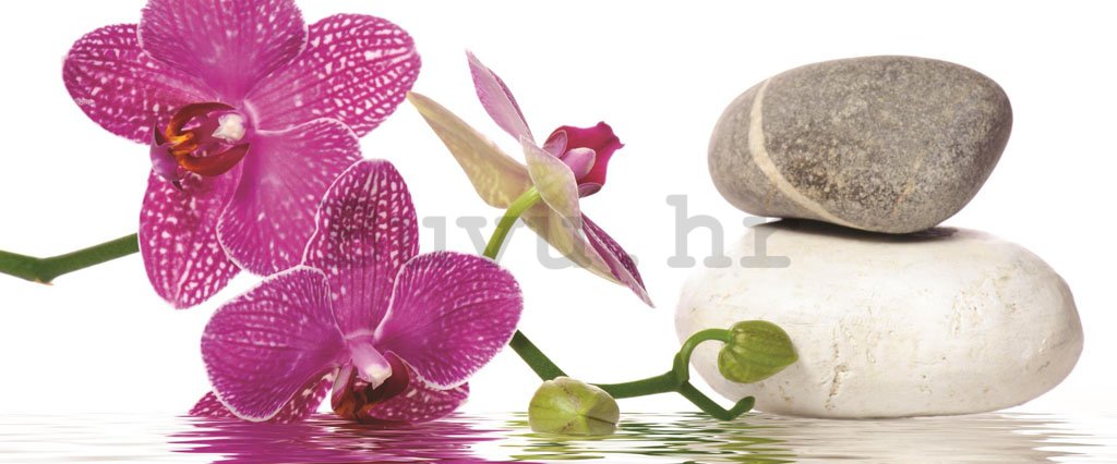 Foto tapeta: Orhideja sa kamenjem - 104x250 cm