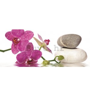 Foto tapeta: Orhideja sa kamenjem - 104x250 cm