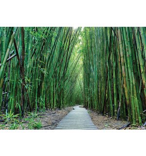 Vlies foto tapeta: Šuma bambusa (2) - 184x254 cm