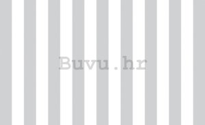 Foto tapeta: Sivo-bijele trake (1) - 184x254 cm