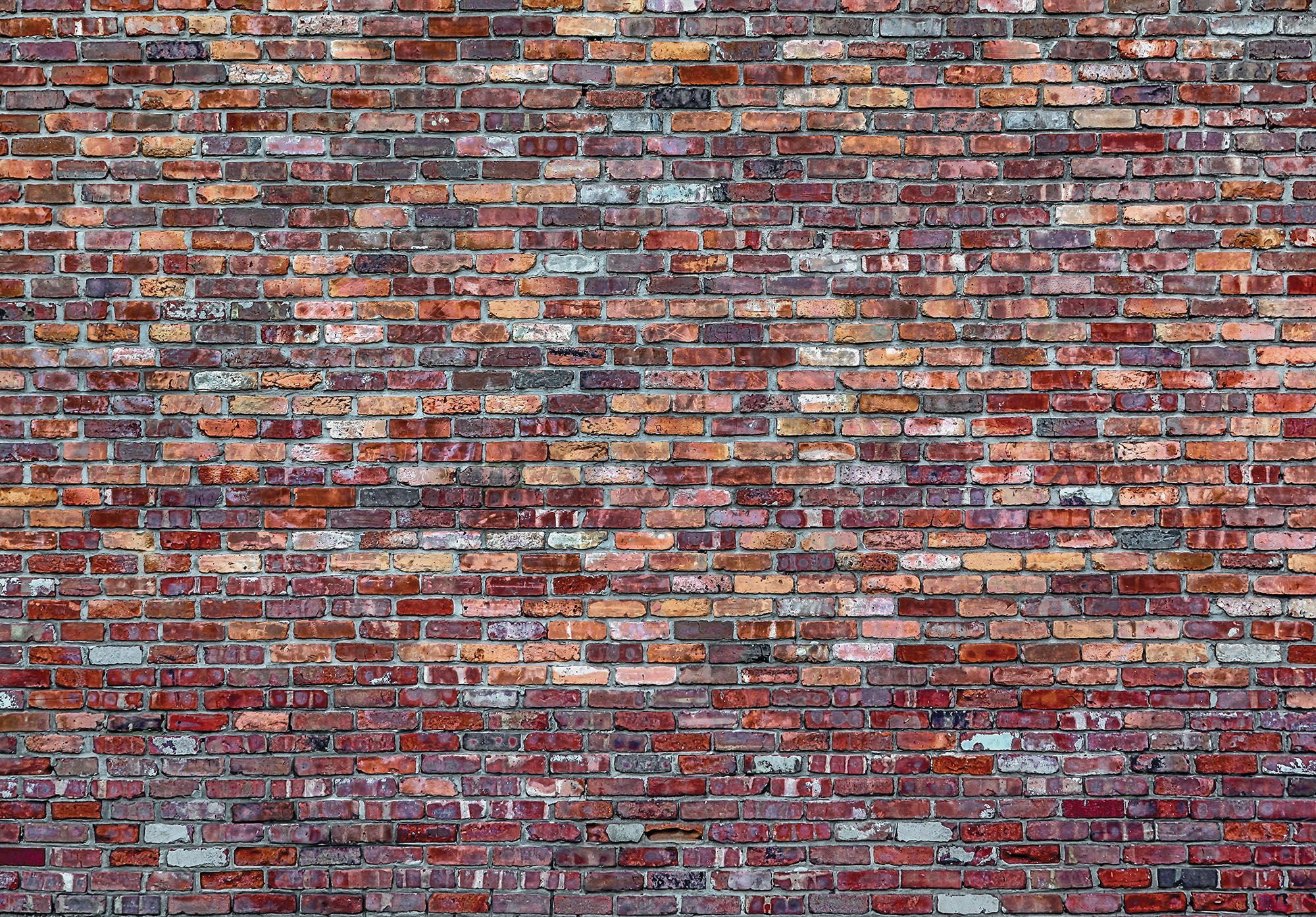 Vlies foto tapeta: Cigleni zid (4) - 184x254 cm