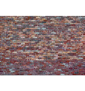 Vlies foto tapeta: Cigleni zid (4) - 254x368 cm