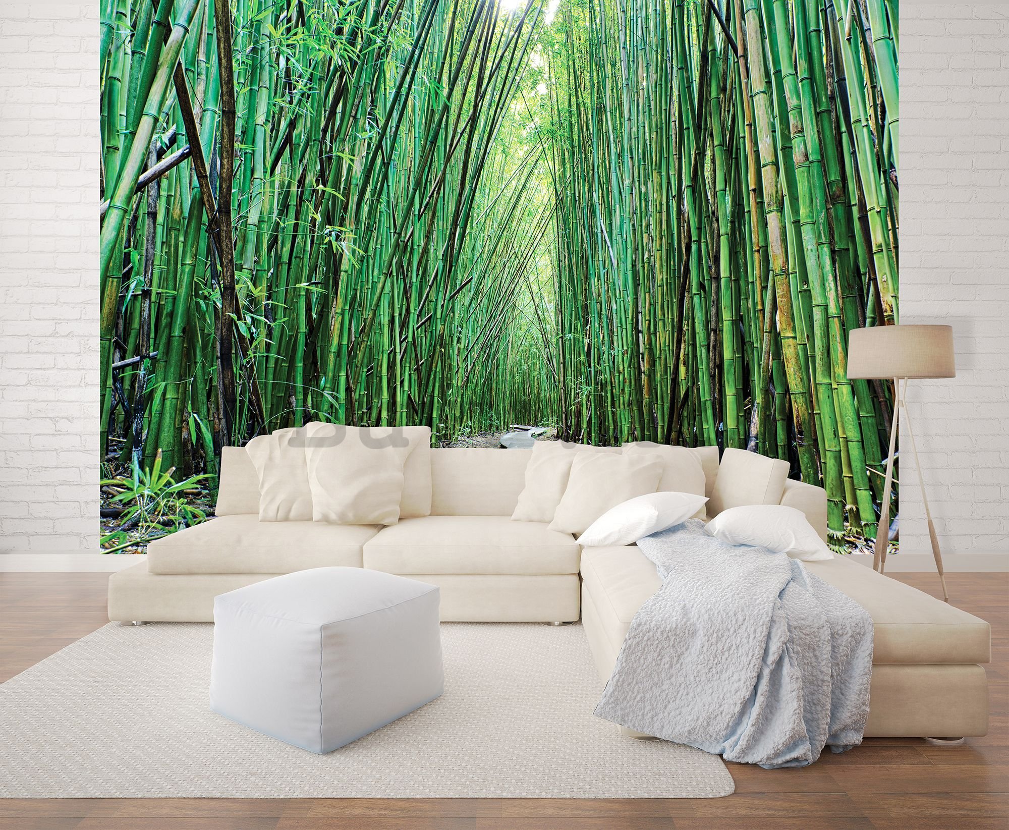 Vlies foto tapeta: Šuma bambusa (2) - 254x368 cm