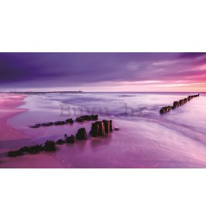 Slika na platnu: Ljubičasti zalazak sunca na plaži - 75x100 cm