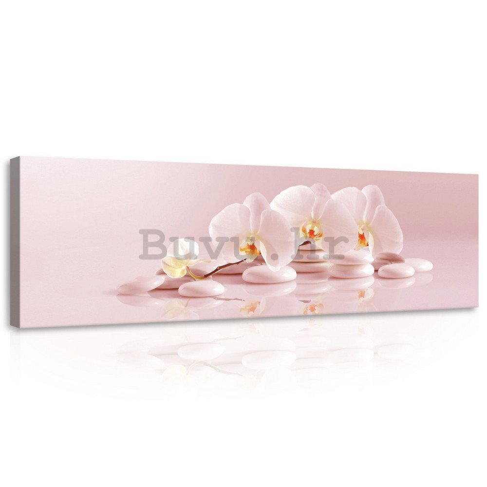 Slika na platnu: Ružičaste orhideje - 145x45 cm