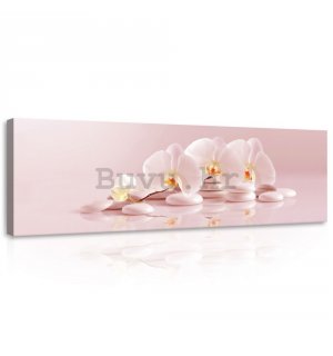Slika na platnu: Ružičaste orhideje - 145x45 cm