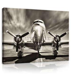 Slika na platnu: Zrakoplov (crnobijeli) - 75x100 cm