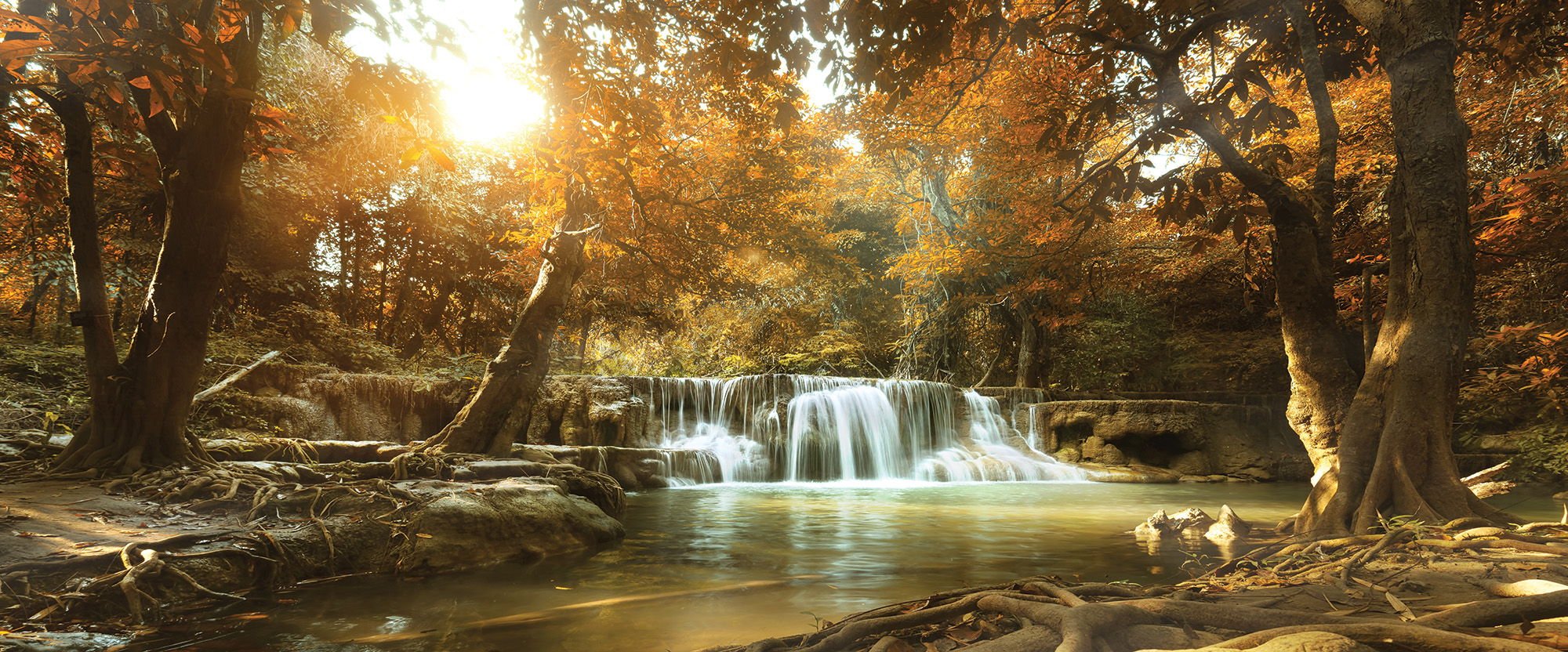 Slika na platnu: Vodopadi u šumi (1) - 145x45 cm