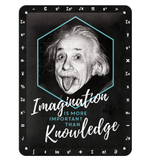 Metalna tabla: Einstein (Imagination & Knowledge) - 20x15 cm