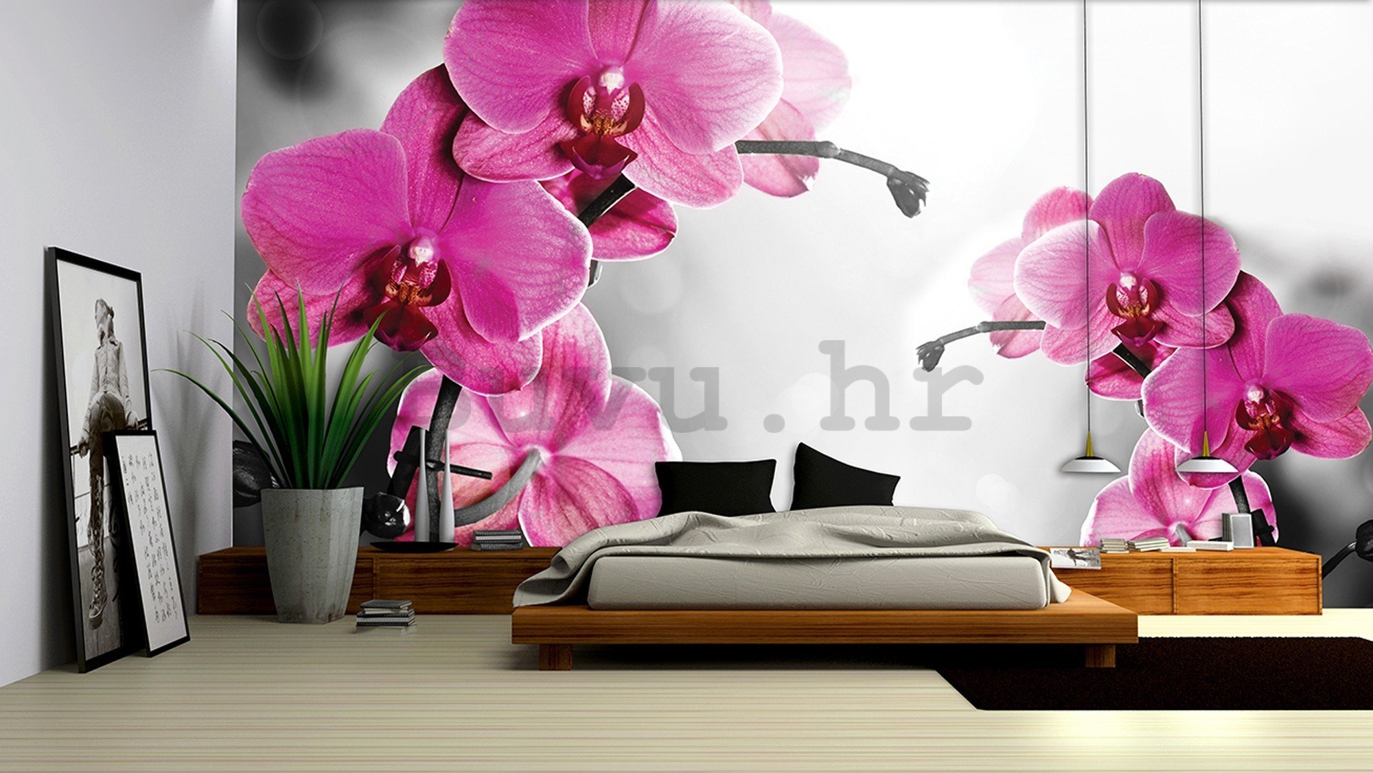 Vlies foto tapeta: Orhideja na sivoj pozadini - 416x254 cm