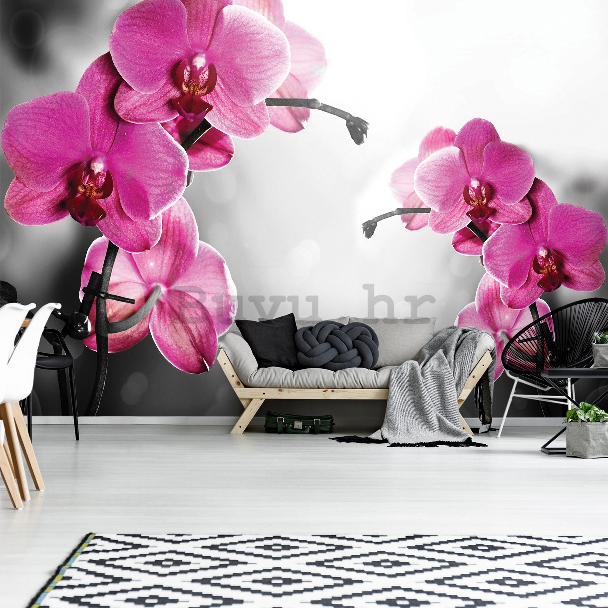 Vlies foto tapeta: Orhideja na sivoj pozadini - 416x254 cm