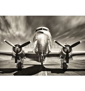 Vlies foto tapeta: Zrakoplov (crnobijeli) - 416x254 cm