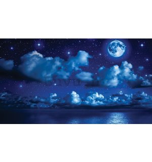 Vlies foto tapeta: Mjesečna noć - 416x254 cm