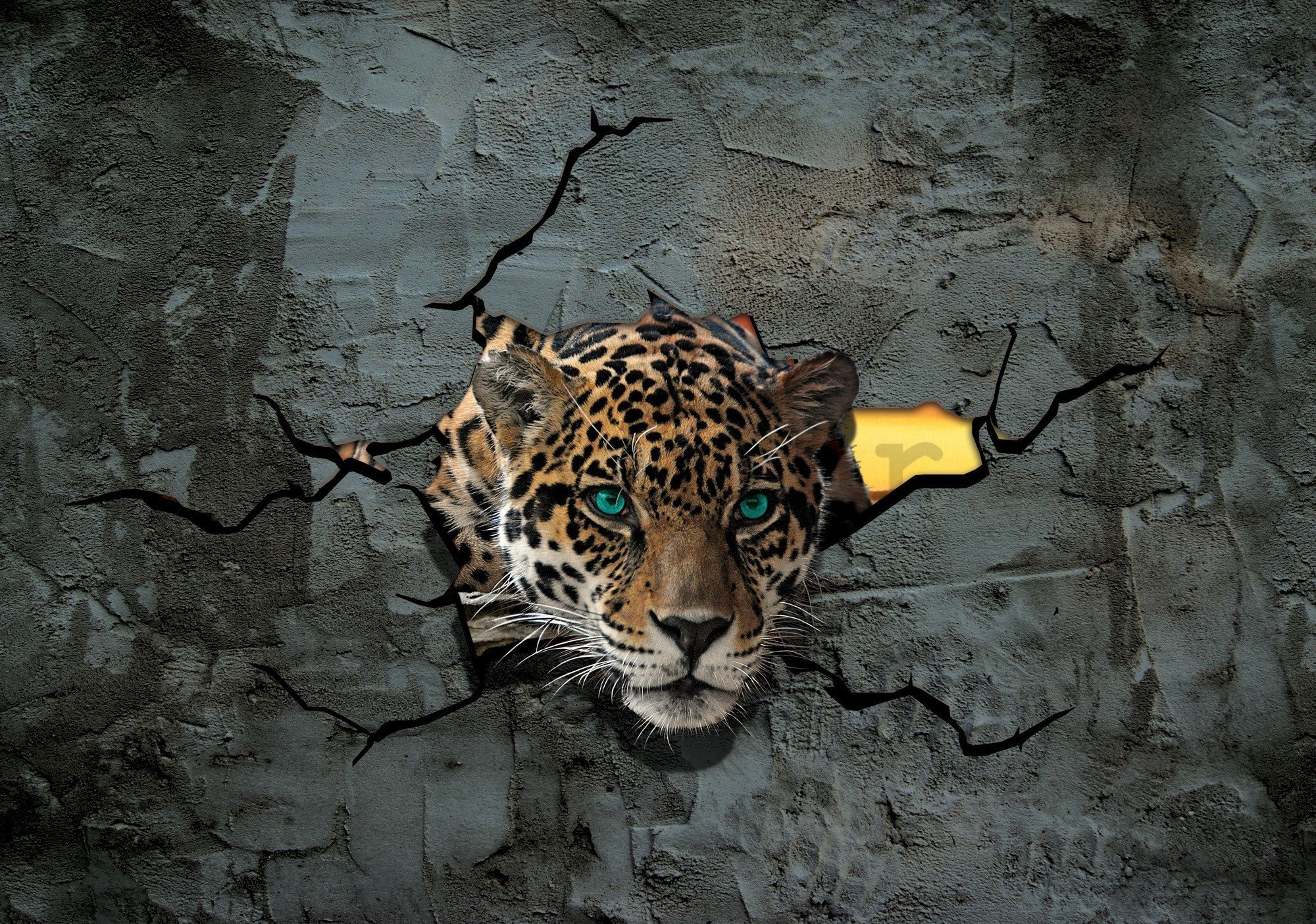 Vlies foto tapeta: Gepard u zidu - 416x254 cm