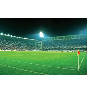 Vlies foto tapeta: Nogometni Stadion (3) - 416x254 cm