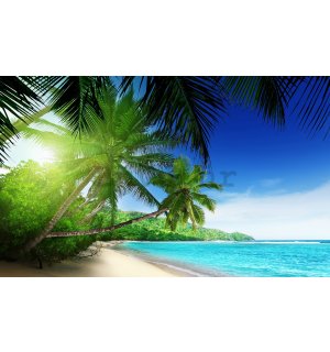 Vlies foto tapeta: Raj na plaži - 416x254 cm