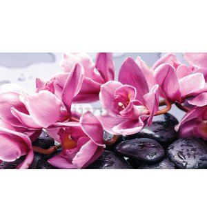 Vlies foto tapeta: Spa kamenje i ružičaste orhideje - 416x254 cm
