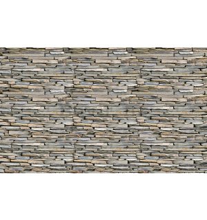 Vlies foto tapeta: Kameni zid (1) - 416x254 cm