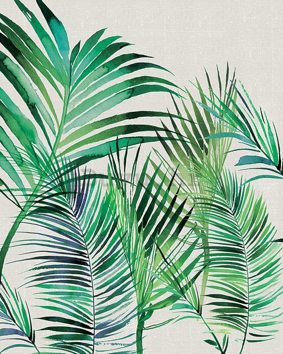 Slika na platnu - Summer Thornton, Palm Leaves