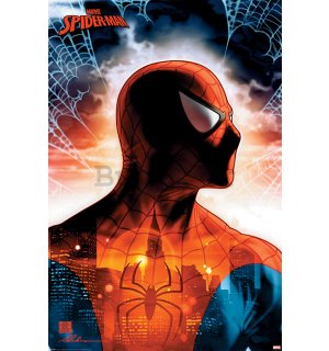 Poster - Spider-man (Protector of the City)