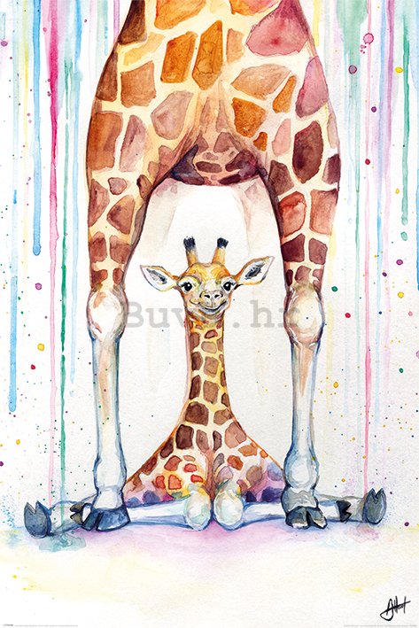 Poster - Gorgeous Giraffes, Marc Allante